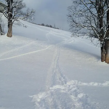 Koenigstube Alpenappartement アパート Mühlbach am Hochkönig