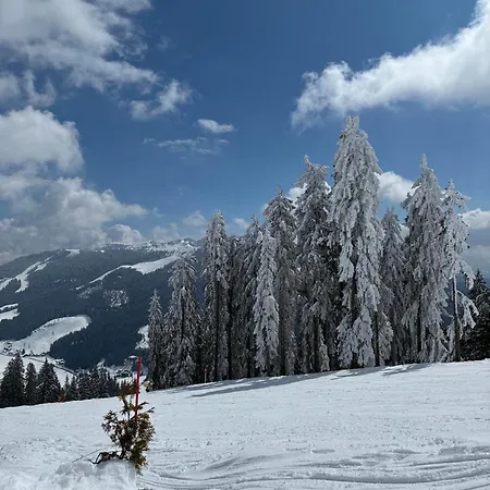 Koenigstube 아파트 Mühlbach am Hochkönig
