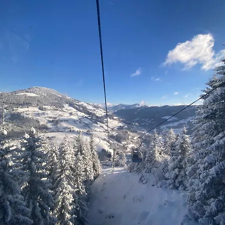 아파트 Koenigstube Mühlbach am Hochkönig